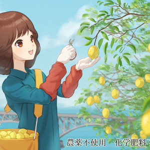 無農薬レモン