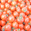 朝採りミニトマト【北海道産】※クール配送