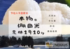超希少種　本物。棚田米「農林1号」令和４年度産新米10ｋｇ　