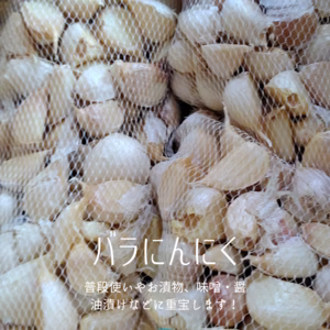 【数量限定】 北海道 富良野産 にんにくバラ　約1.8kg 