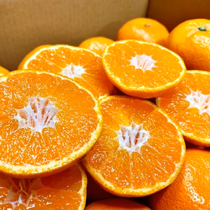 酸味少なめ 唐津産温州みかん サイズミックス