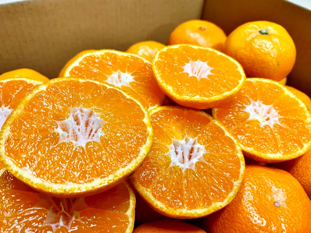 酸味少なめ 唐津産温州みかん サイズミックス