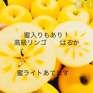 昨年大好評！早い物勝ち　美味しさの極み　はるか約キロ