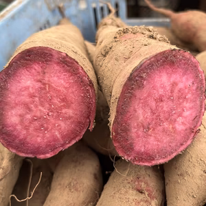 【お徳用】サイズいろいろ紫いも