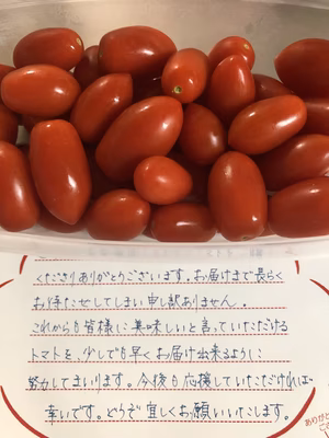 みんなの投稿の画像