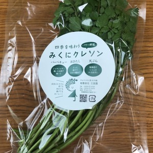 みくにクレソン 100g 15袋