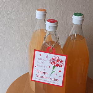 【母の日ギフト】無添加りんごジュース３種飲み比べ（特別価格）