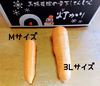 お買い得！【大きめサイズ】甘み極上の雪下人参「灯かり」