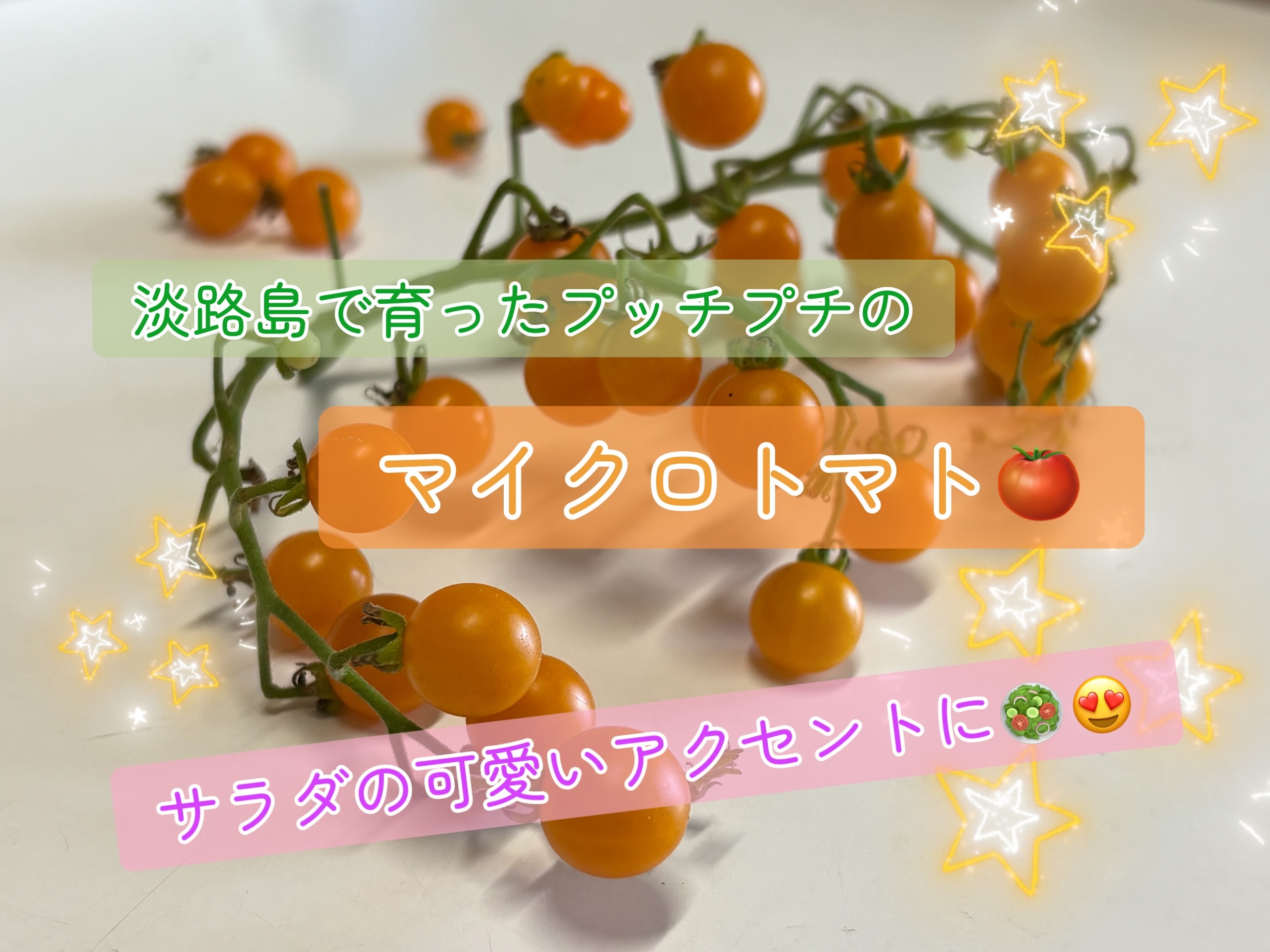 マイクロトマト!今年はオレンジカラー! 2パック