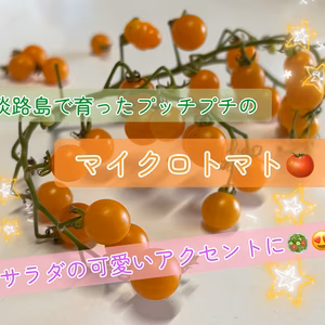 マイクロトマト！今年はオレンジカラー！