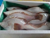 子持マカレイ