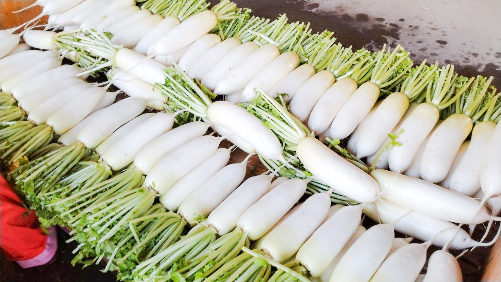 甘みと香りが立つ、島原の秋採れだいこん♪｜大根の商品詳細｜ポケット