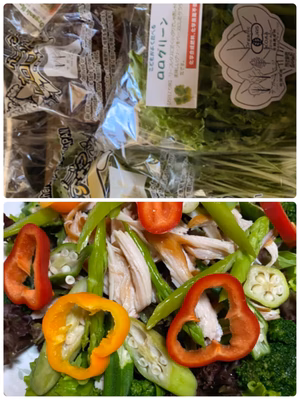 みんなの投稿の画像