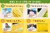 【7・8月に全4回】品種ごとの味わいを楽しむ！「欲張りとうもろこしの定期便」