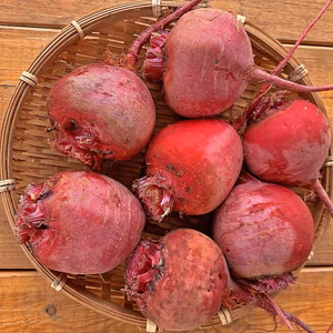 食べる輸血‼　赤ビーツ　（免疫力アップにおすすめの野菜）