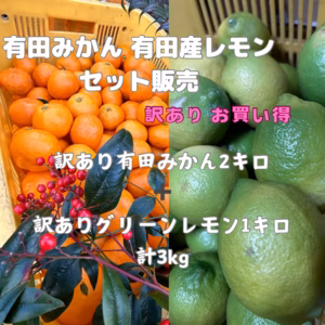 有田みかん 有田産グリーンレモン 計3キロセット販売