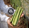 ＼シェフ御用達／北海道日高産 朝採りアスパラ 春芽 (2Lサイズ1kg、2kg)