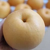 酸味と甘みのハーモニー  新興梨 家庭用  約2.5kg(5～7玉)