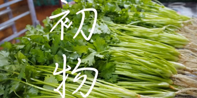 "新"な野菜、集めました。 #新○○ のたしなみ