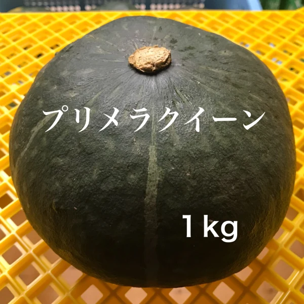 【川上農園】『プリメラクイーン 』かぼちゃ 1玉 茨城県産