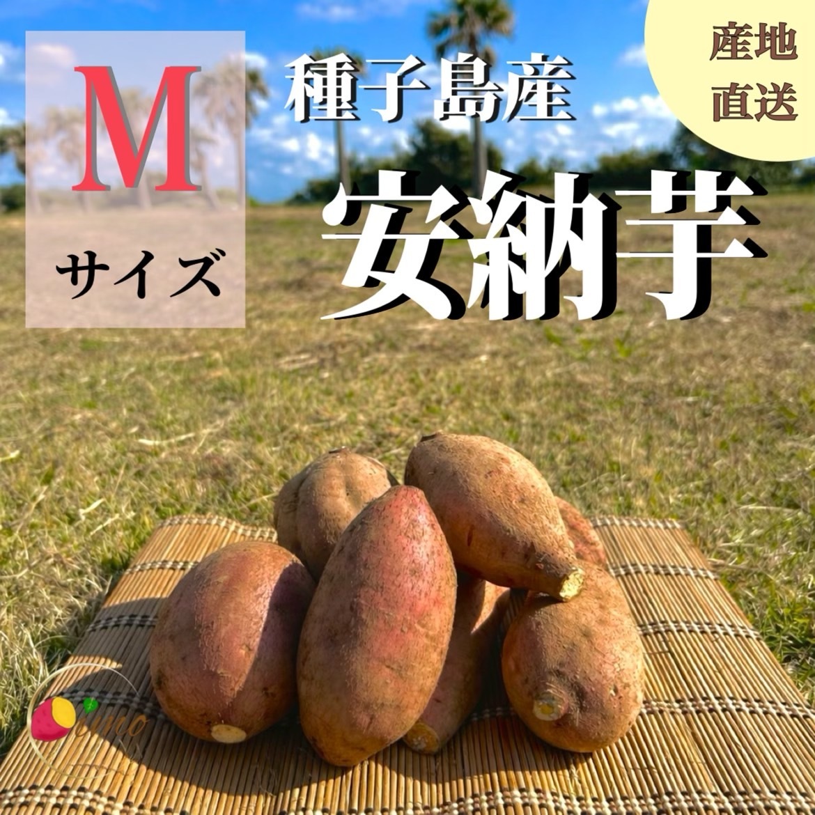 絶品】種子島産 安納芋 Mサイズ｜aimo農園｜さつまいもの商品詳細