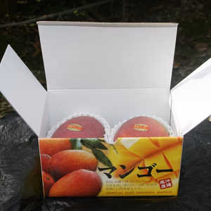 [優品]　沖縄県産マンゴー　850g