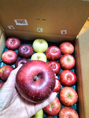 みんなの投稿の画像