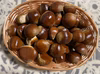 【埼玉県産】大粒低温熟成生栗(利平/大丹波)