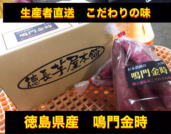 『鳴門金時』貯蔵熟成済み　Sサイズ(100g〜149g)