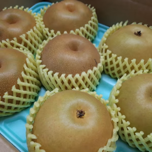 HS-3(7)【自家用・食比べ】新品種「新美月」と「豊水」セット 