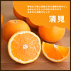清見（きよみ）｜和歌山県海南市下津町産、樹上完熟の和製オレンジ