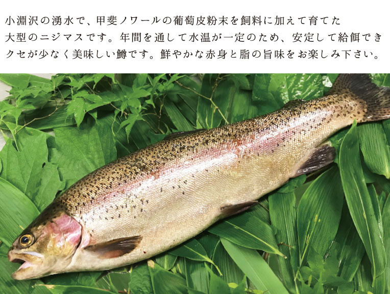 八ヶ岳の湧水育ちの川魚 4種類 食べ比べセット 農家漁師から産地直送の通販 ポケットマルシェ