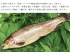 八ヶ岳の湧水育ちの川魚 4種類 食べ比べセット