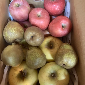 3色盛り！お試しラフランス＋2色りんご詰め合わせ！1度で3度うまい!