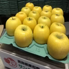 青森県産シナノゴールド　家庭用　農家直送　パリッと食感に溢れ出す果汁