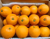 【ミニサイズ】化学農薬不使用！希少な国産ネーブルオレンジ(箱込4.5kg)