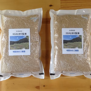 自然栽培（農薬不使用、有機・化学肥料不使用）コシヒカリ玄米１０kg　令和４年産