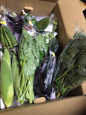 みんなの投稿の画像