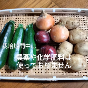 じゃがいも、玉ねぎ（赤と黄）とズッキーニの初夏野菜　さらに旬の野菜のおまけ付き！