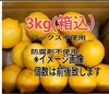 大好評【4/中旬収穫】皮ごと使える安心❣国産ユーレカレモン