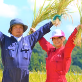 豊﨑静代 | 合同会社むすび