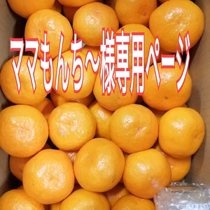 ママもんち〜様専用ページ!【甘熟大玉ちゃん】大きくても美味しいみかん10Kg