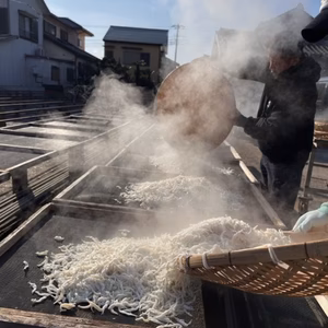 綱元漁師のシラス定期便