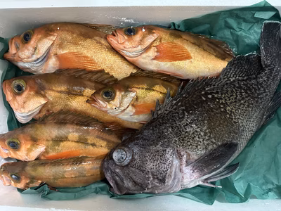 みんなの投稿の画像