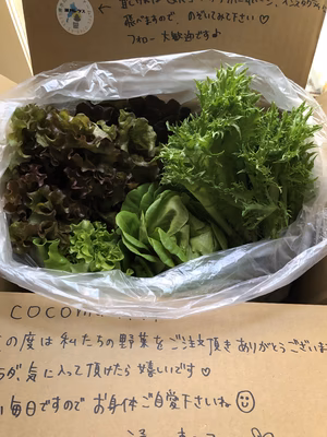 みんなの投稿の画像