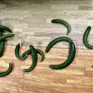 ハッシーきゅうり食べ比べセット(お試しセット)