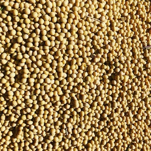 自然栽培大豆サチユタカ1kg以上〜