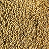 自然栽培大豆サチユタカ1kg~24kg(令和4年度産)