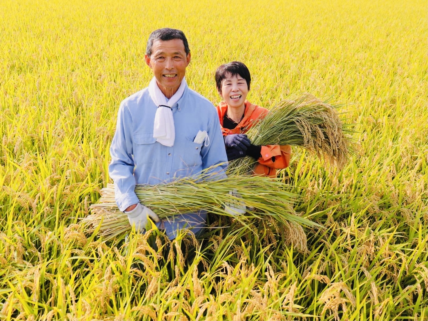 ◇岡山県産◇はぜがけ天日干し新米◇令和5年産◇あきたこまち◇玄米