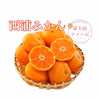 みかん【品種: 寿太郎 】 訳ありみかん 西浦みかん 